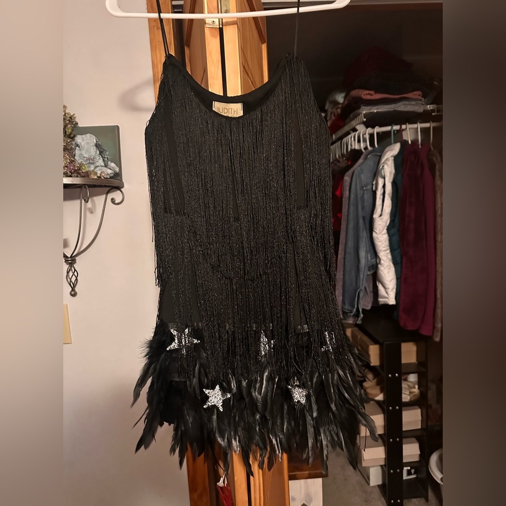 Gorgeous Judith March Meet me at Midnight feather dress!